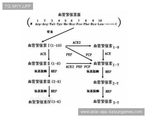 五大联赛逆风局心理应对机制成研究热点